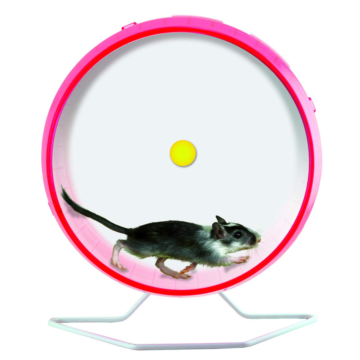 Giant 12 Inches Hamster Wheel J56764