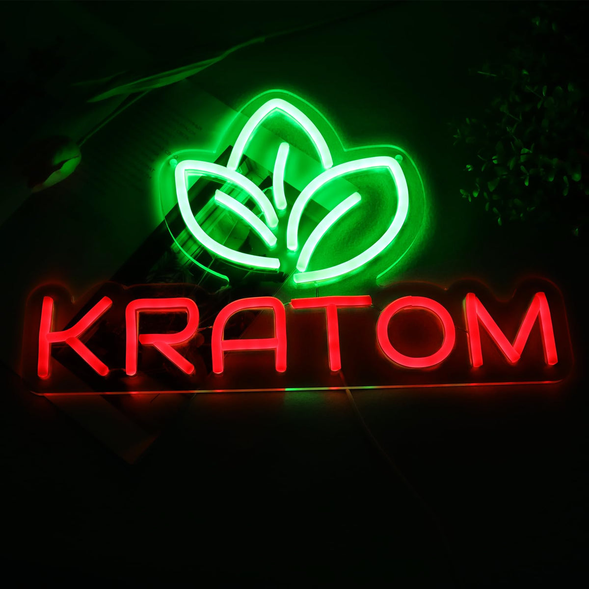 Neon Sign B172