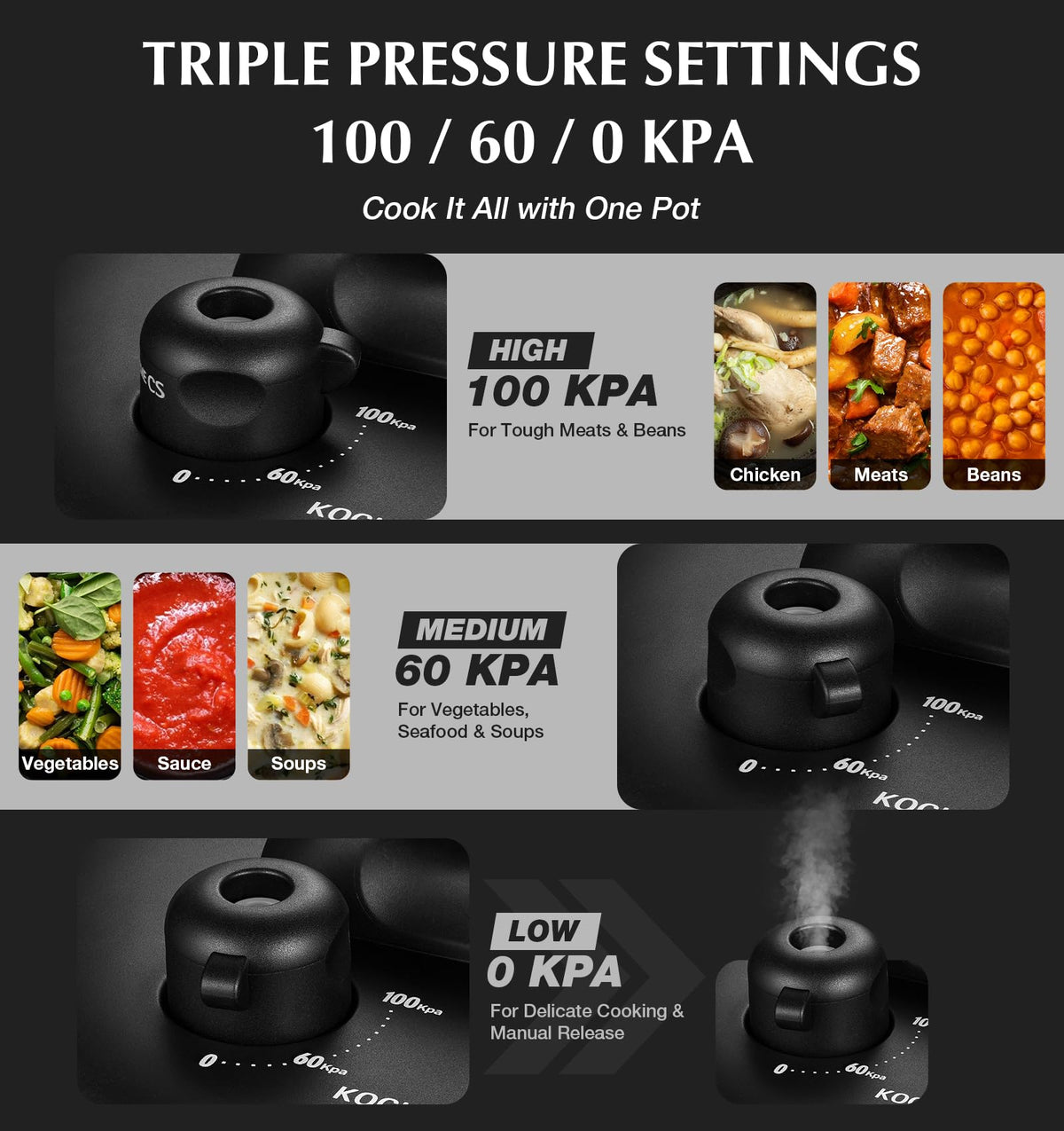 Stainless Steel Pressure Cooker 8.5QT Z316020