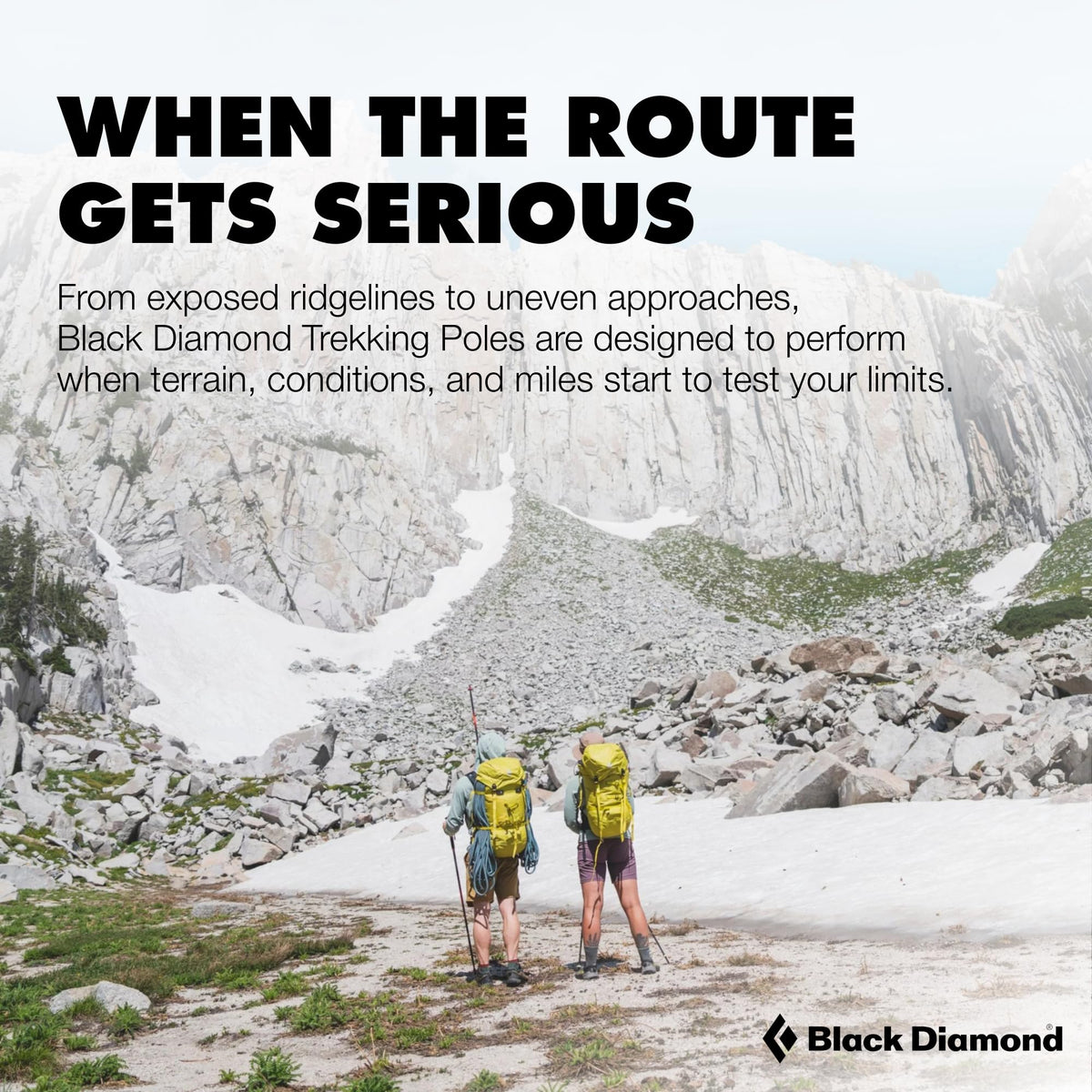 Aluminum Trekking Poles O341916