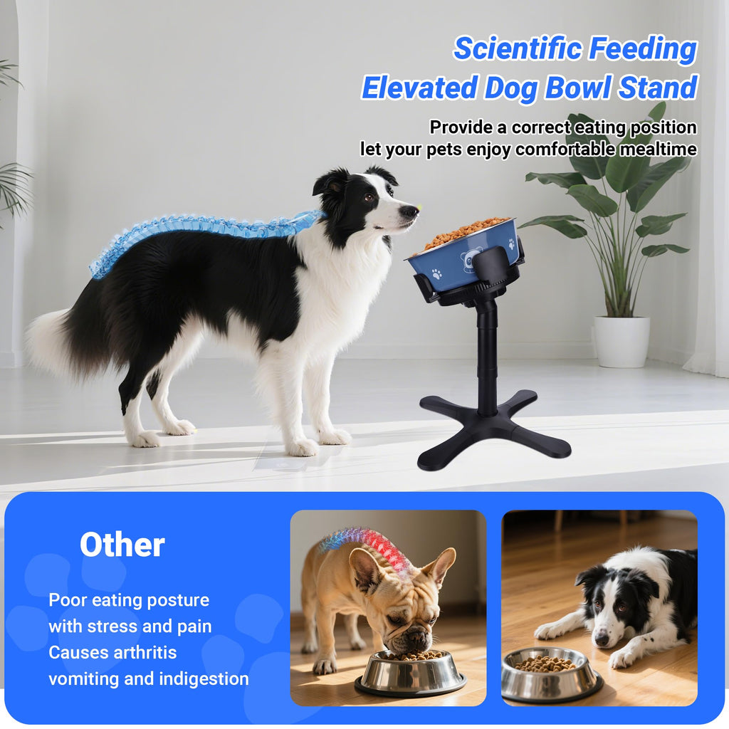 Adjustable Dog Bowl Stand V62836