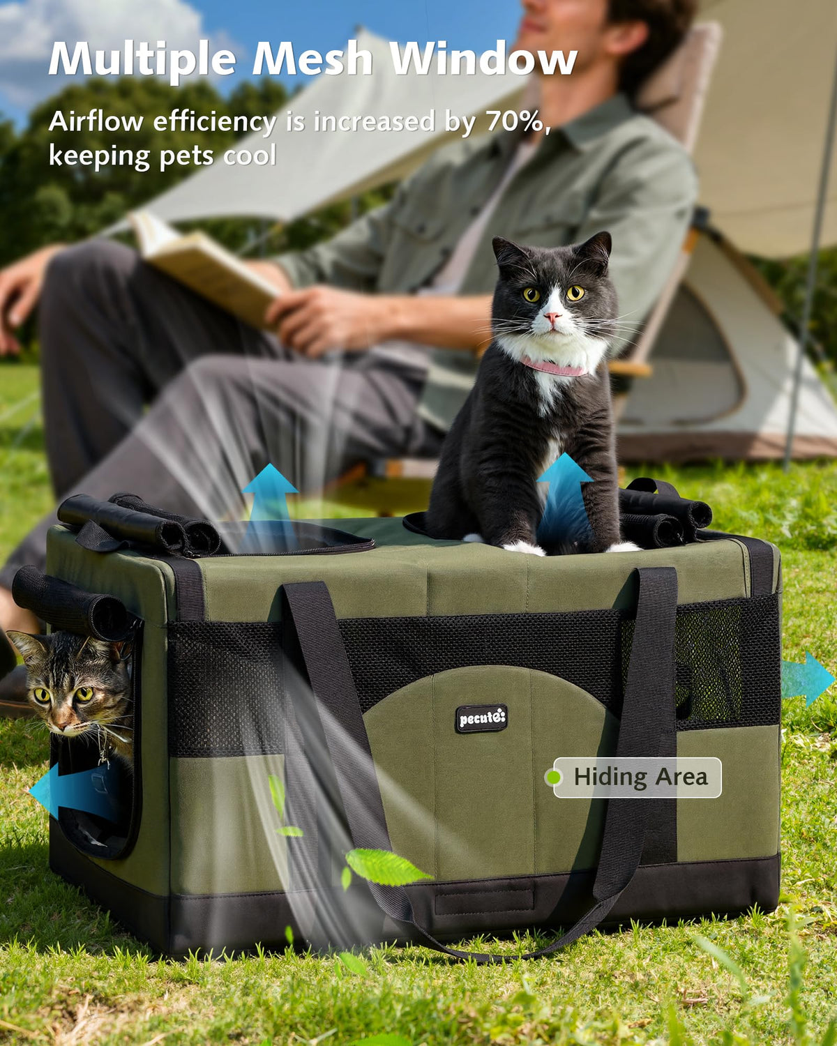 Large Soft Double Cat Carrier Y39345