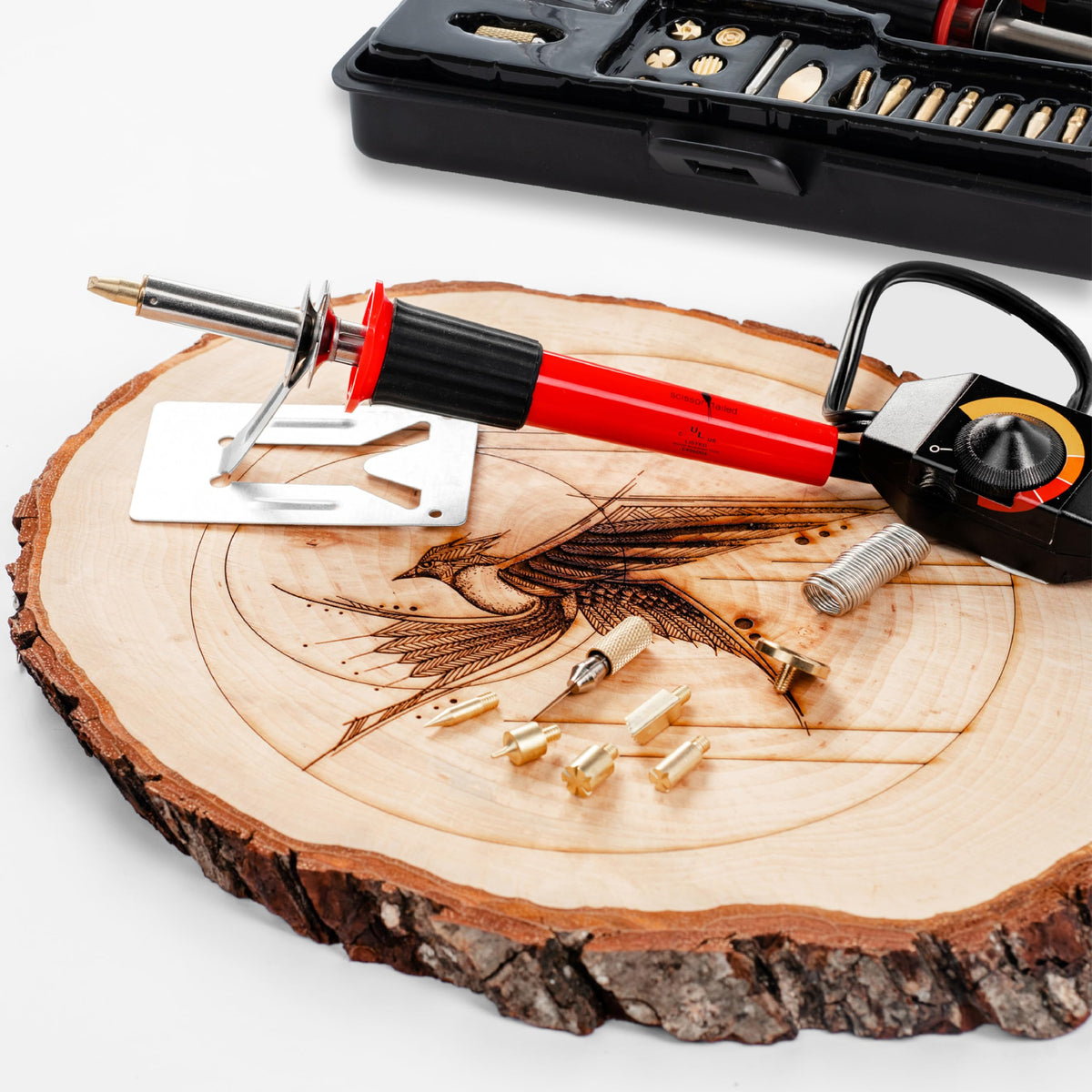 22 Pc Adjustable Temperature Wood Burning Pen with Tips & Storage Case Y650049