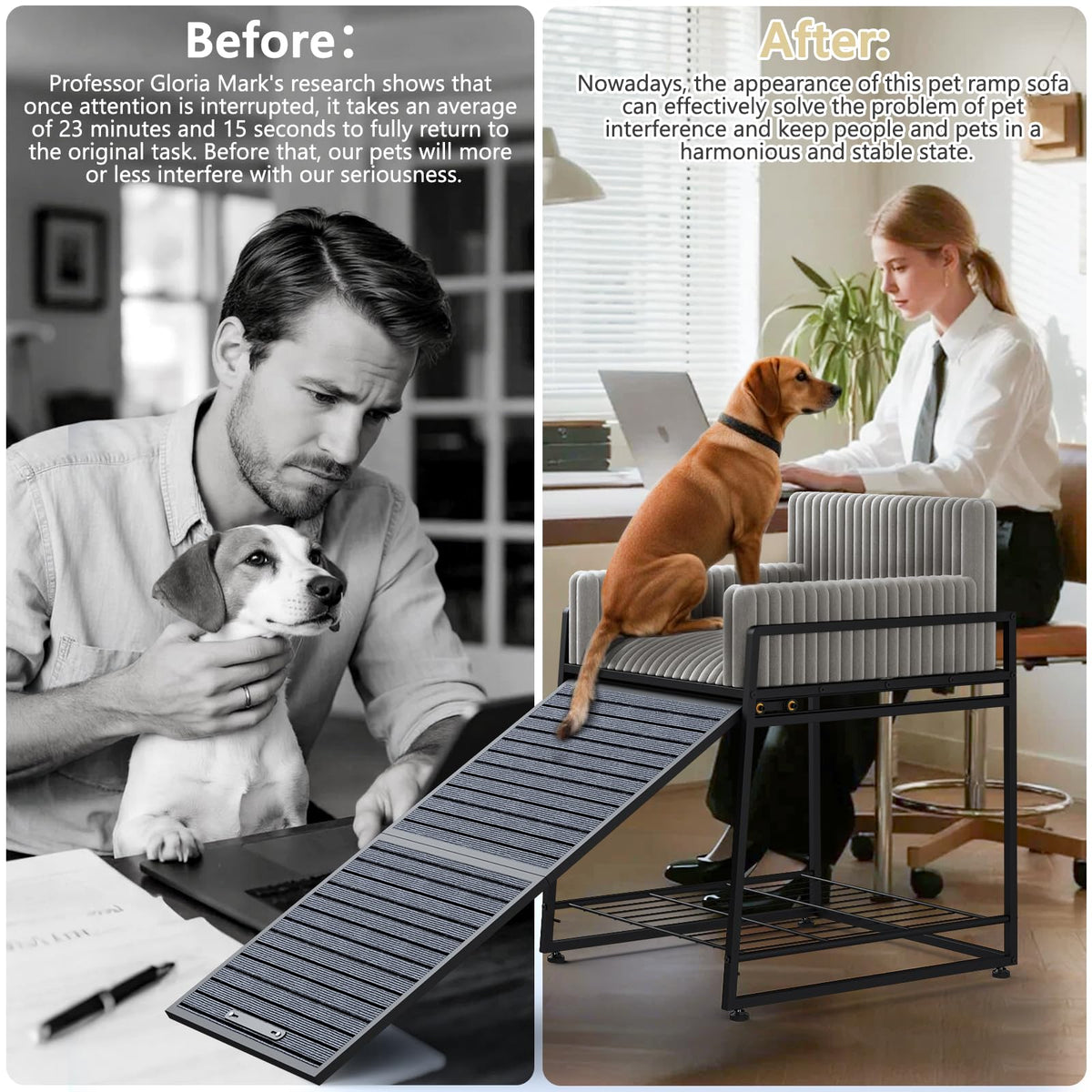 Dog Window Perch with Stairs and Storage J5422