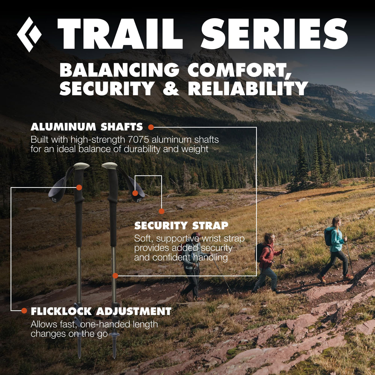 Aluminum Trekking Poles O341916